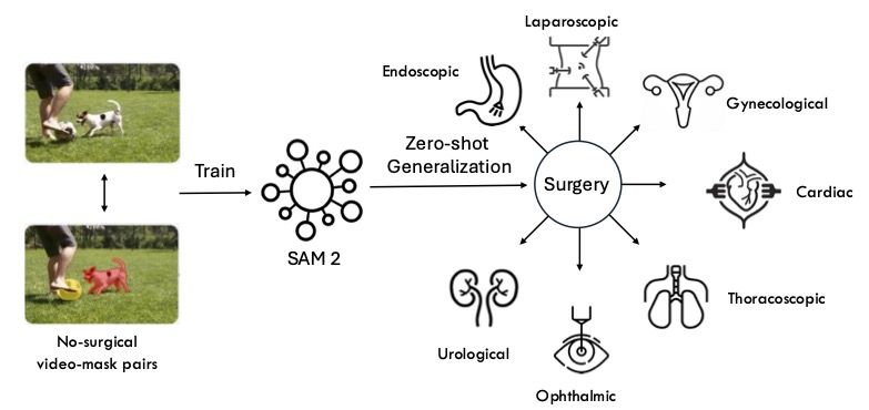 Is Segment Anything Model 2 All You Need for Surgery Video Segmentation? A Systematic Evaluation